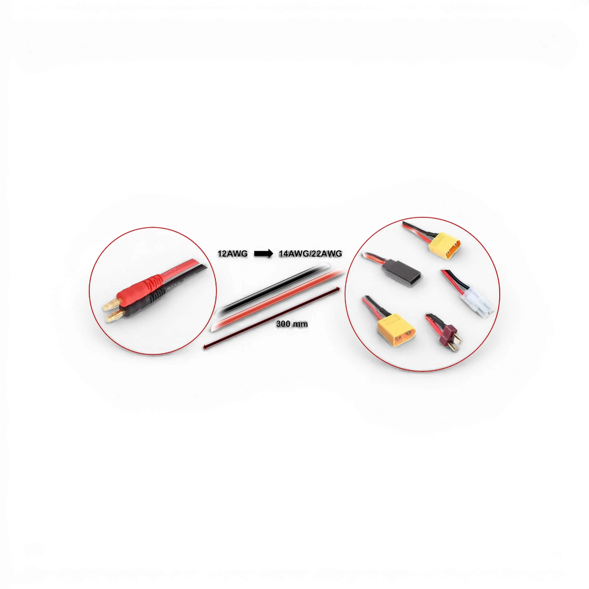 Câble bananes de 30cm pour électronique Absima avec connecteurs XT90, XT60, T, JR et Tam, visible en gros plan.