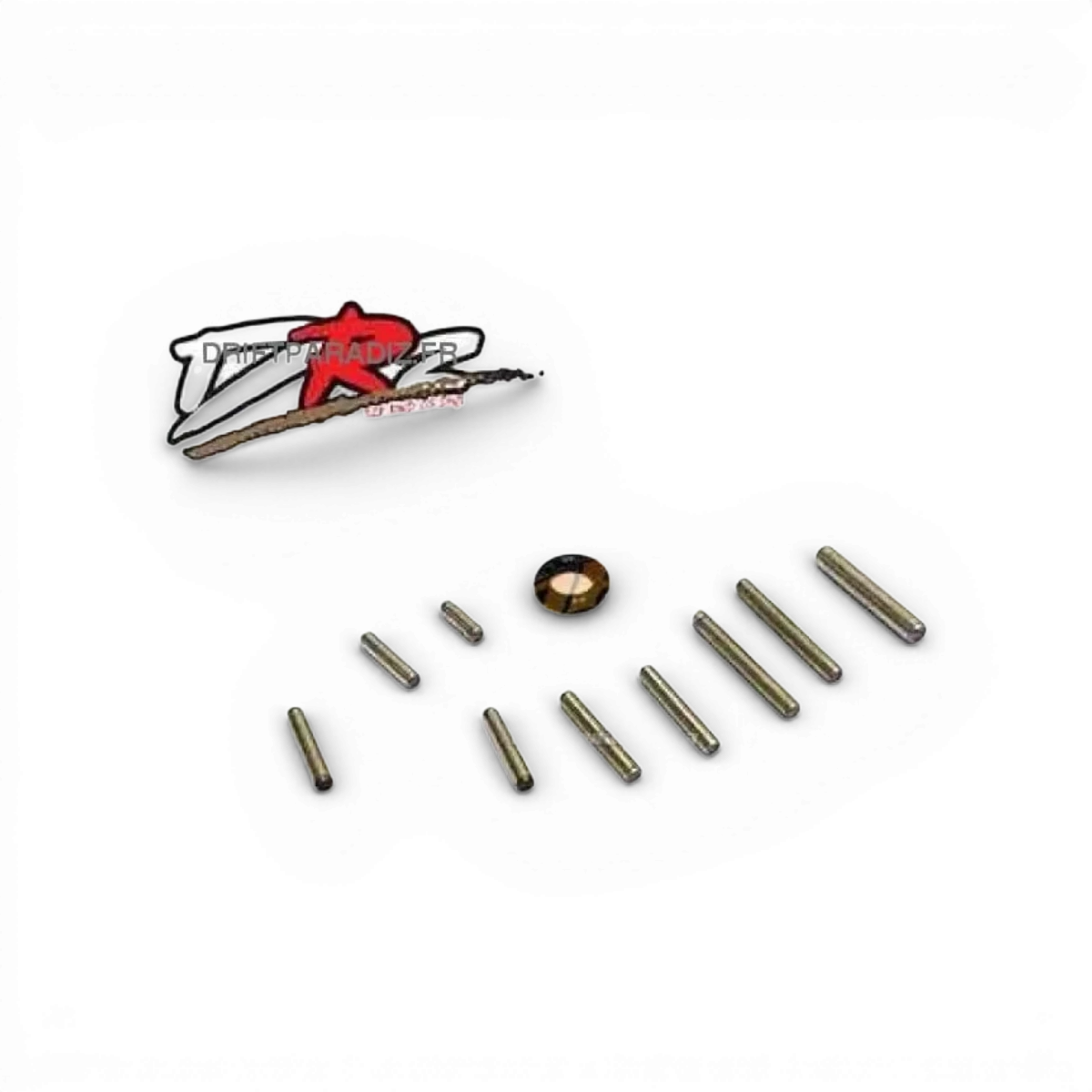 Ensemble de broches DRZ/DRZV2 de pièces détachées Atomic RC Mini, composants pour modélisme radiocommandé.