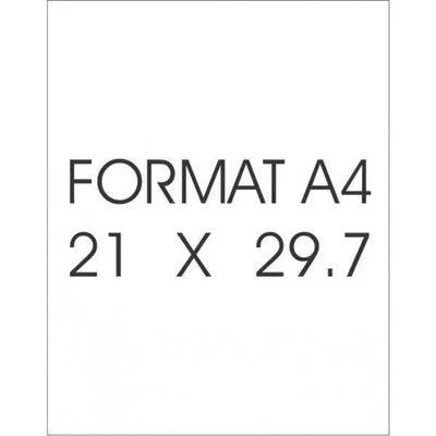 DECAL FILM 3 feuilles - Blanc Laser  - HOLI - HOD125