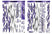 Complete sticker decoration - Spirit Gang Lightning Storm Purple - Basement LAB Graphics - BLG-SGLSP-P75