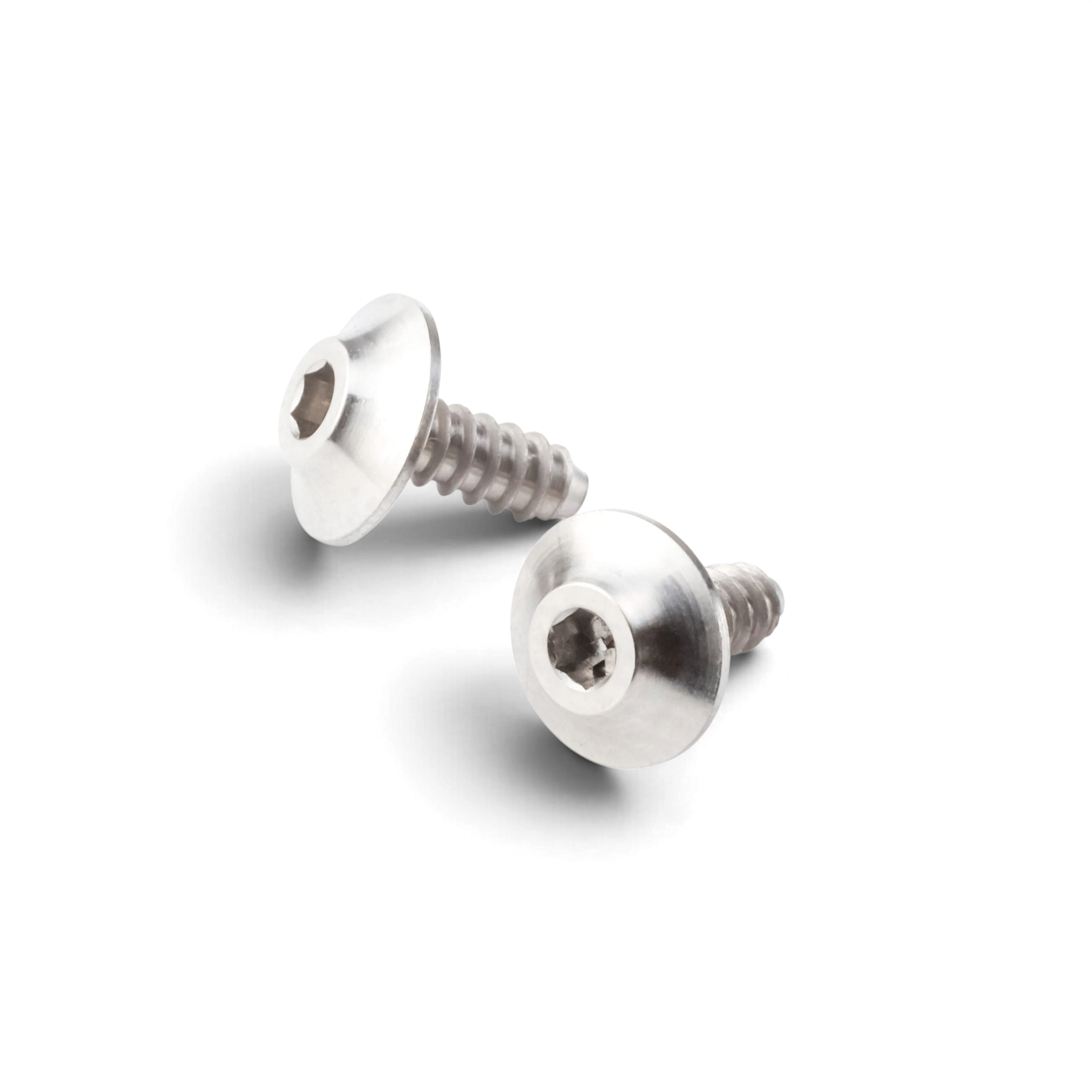 Deux vis autotaraudeuses DriftParadiZ 8810 Style en titane M2.5x5 mm pour fixation d'aileron RC