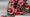 Stariers & Rotors SR Series-Rhino Racing-RR-1420