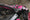 Specchietti (Aero tipo 2) - PANDORA RC-APA-1505