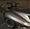 Support d’aileron / Wing Stay aluminium B – METAL GARAGE – MGASWSB‐K - 12