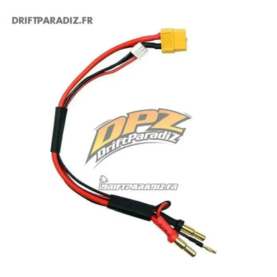 Câble de charge XT60 vers 4mm et 5mm pour Chargeur Sky RC - BEEC1073